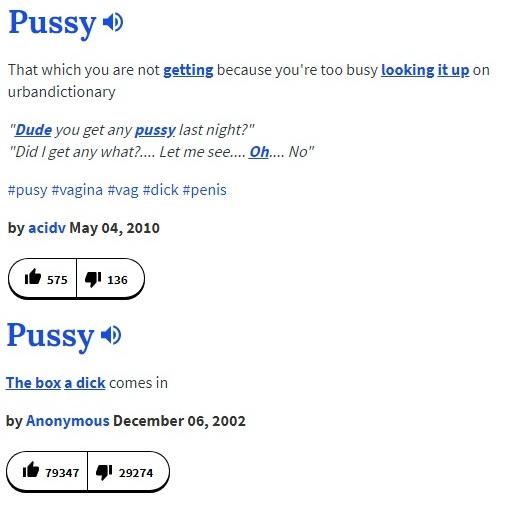 Funniest Definitions of the Urban Dictionary