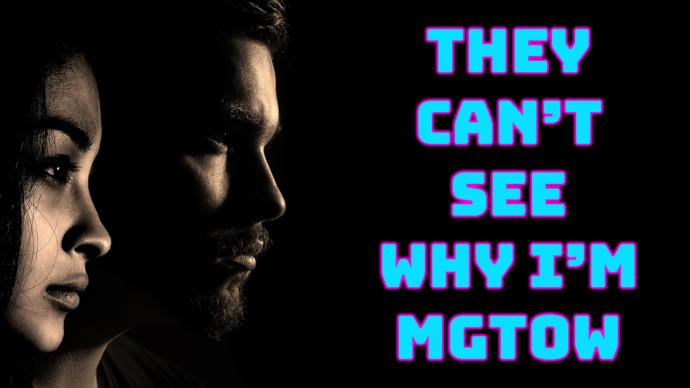 The Case for MGTOW