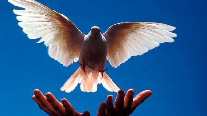 My Three Step Program to Help you Forgive Others as Jesus Commanded Us To
