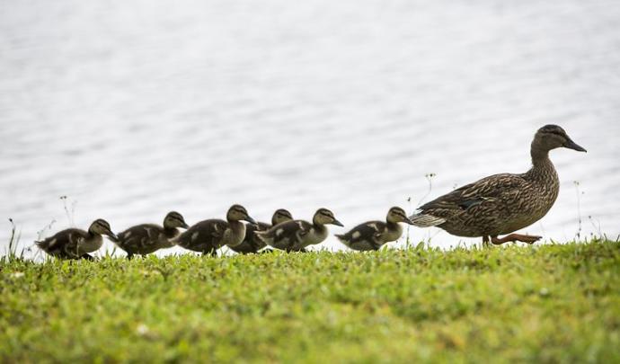 The Essence of Leadership