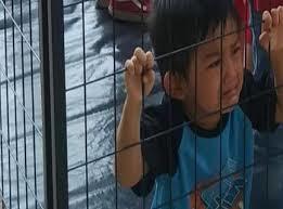 Immigration, Children In Cages in America and the Bible