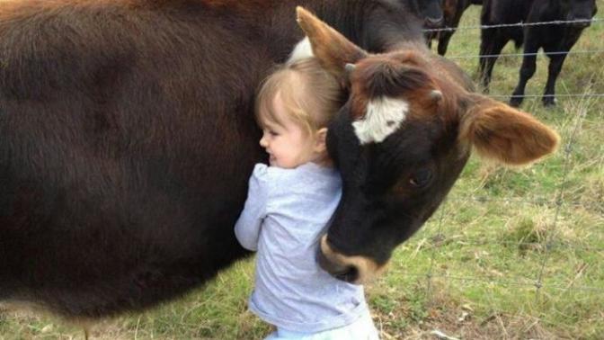 Dear Meat Eaters, You Can Help Too :)