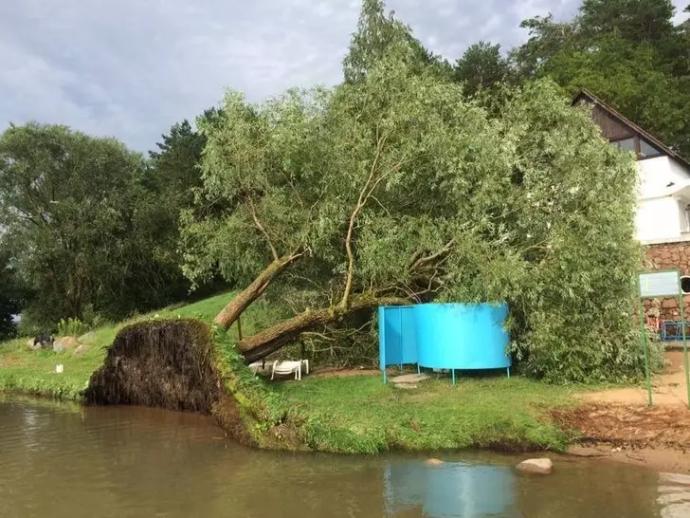 Instances Showing Nature's Beauty and Bounty