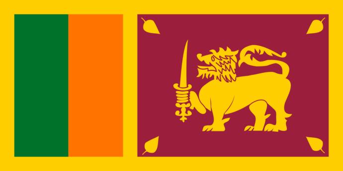 Even the security forces are harassing and raping women they take into custody.15% of Sri Lankan men attempted abuse and rape at least once in their lives.3% of these men have also raped men.