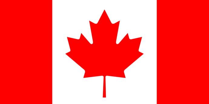 Despite being one of the most comfortable countries in the life of the world, one of every three females said that they were sexually exploited. Moreover, this rate has increased greatly in the near future. And even though most of the events are not reflected in the police or the court.