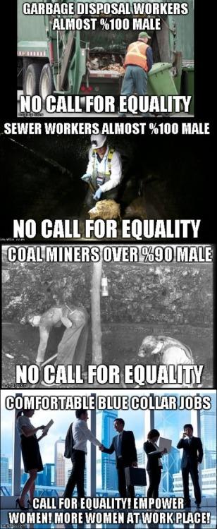 The Gender Divide in STEM