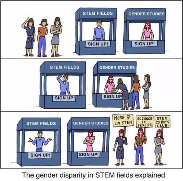 The Gender Divide in STEM