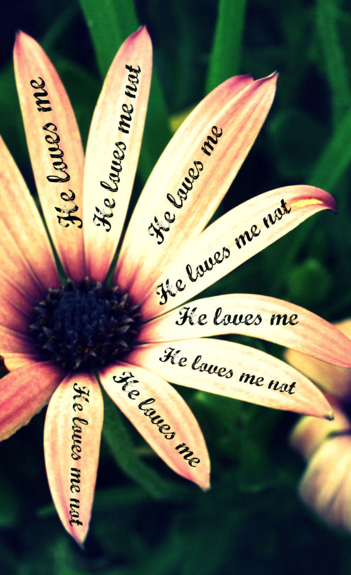 How many flowers have you plucked just to have a different answer?