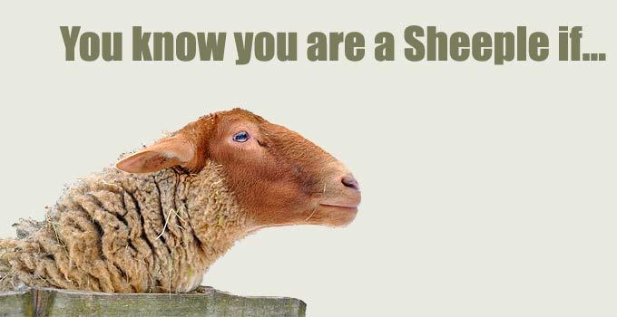 The Dilemma of the Sycophant