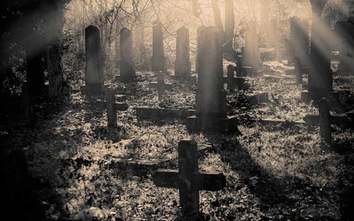 Midnight figs: Existential Endeavors (the afterlife, dreams, and other dimensions)
