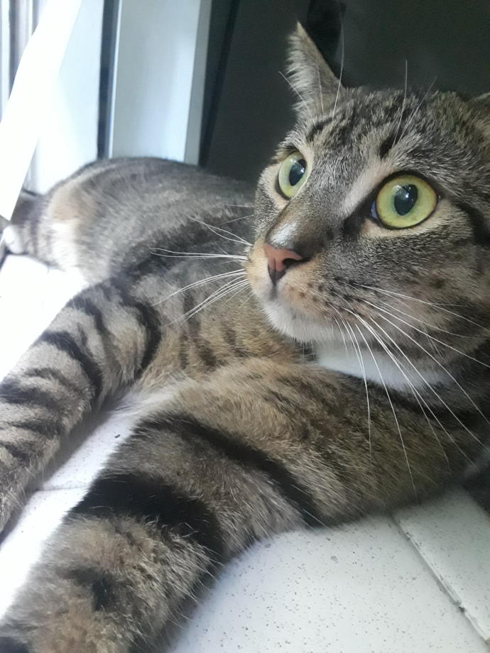 Let's Talk About Tolerance