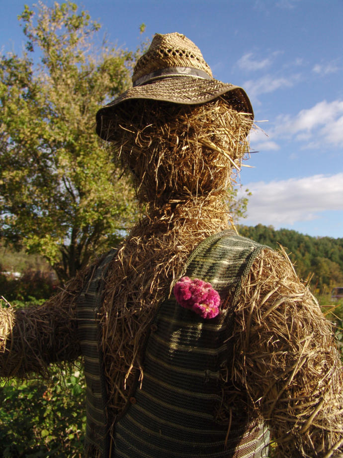 Anybody can knockdown a strawman but only a few can knockdown a steelman.