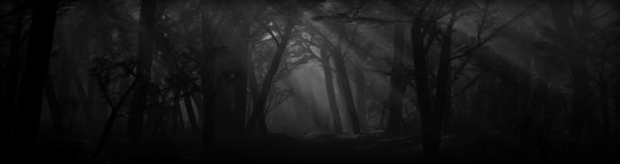 In the shadow of darkness