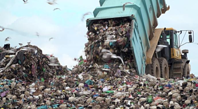 Humans are a Materialistic and Wasteful Species: Aiming for Change