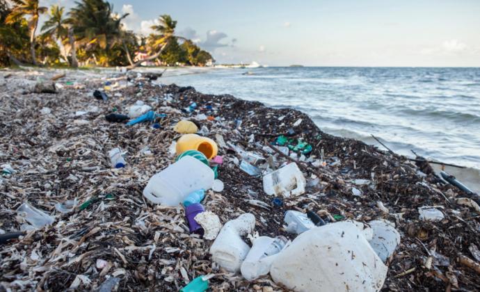 Garbage litters many of the worlds beaches, often in images the public doesn't want you to see.