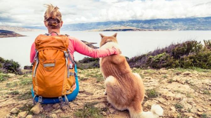 13 Reason Why Dogs Are Better Than Cats!