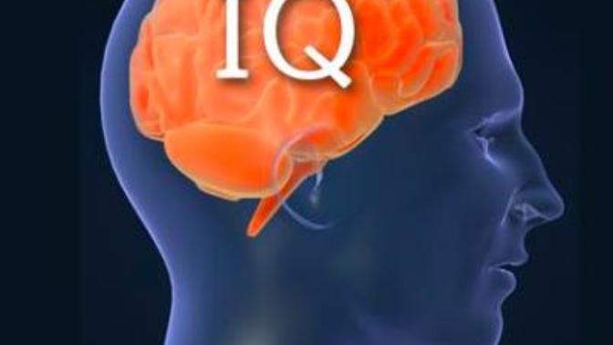 How to Use Your Eating Habits to Boost I. Q. Scores
