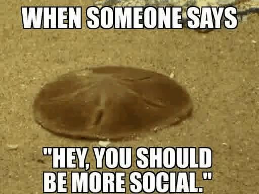 Just let me be, please!