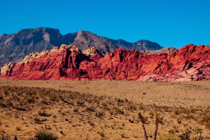 12 Hidden Wonders of Sin City