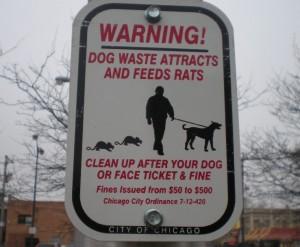 Why Chicago isn't as Dangerous as People Like to Say it is