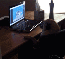 Hey Kid, Want Some Helpful Life Tips?