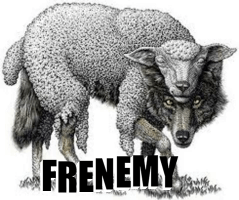 Frenemy: How To Detect A Fake Friend