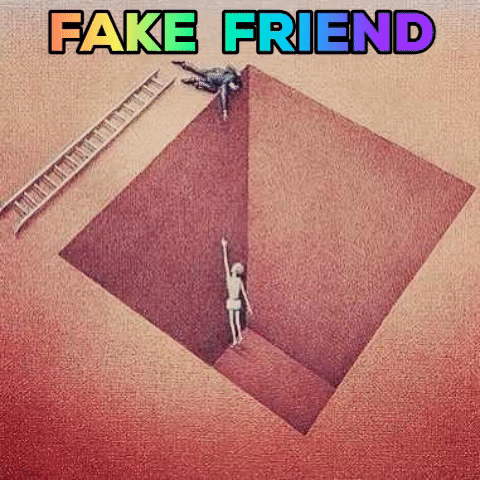 Frenemy: How To Detect A Fake Friend