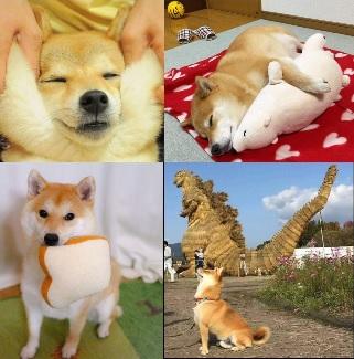 This Will Make Your Day Better