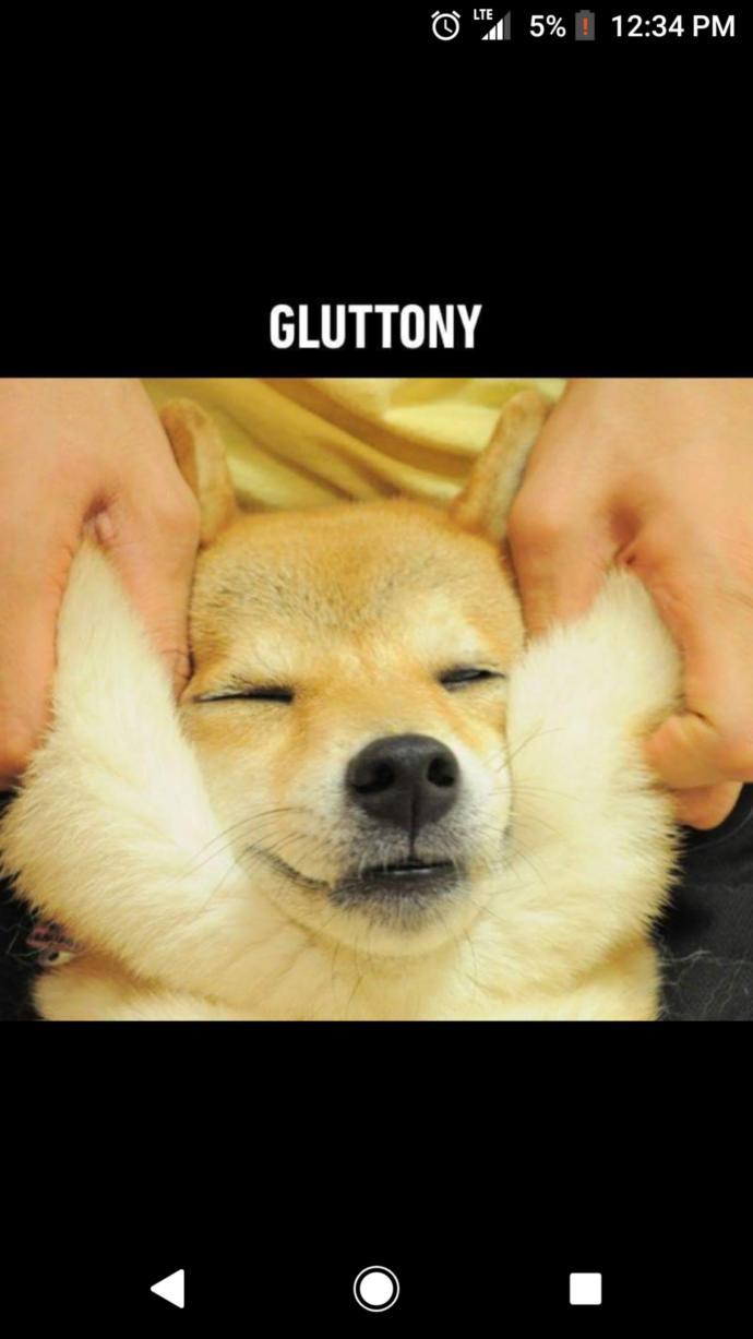 This Will Make Your Day Better