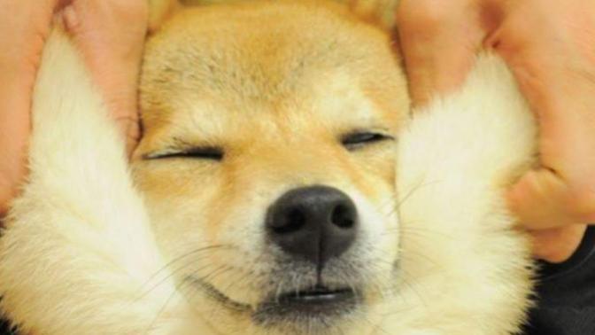 This Will Make Your Day Better