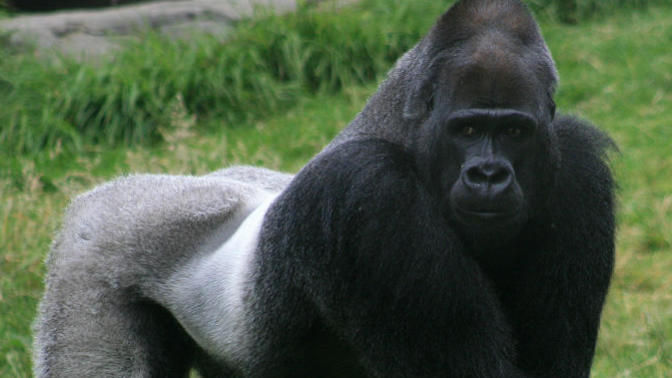 10 Of My Favorite Animals