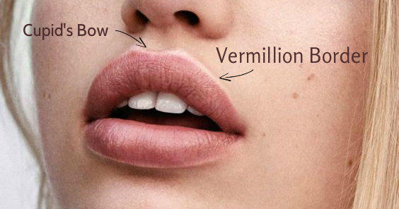 Often drawing on the vermilion border can make the lip look a bit fake because the natural clear line is no longer visible and it gives an unnatural look.
