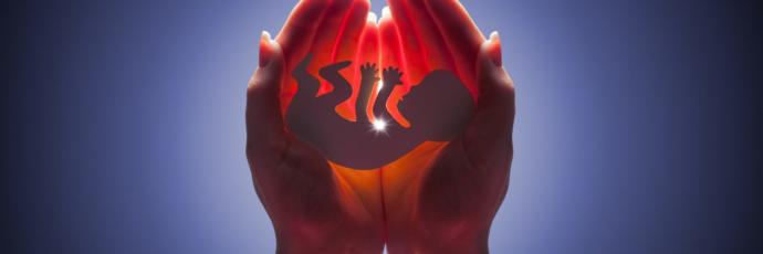 The Reason I Am Pro Life AND Pro Choice