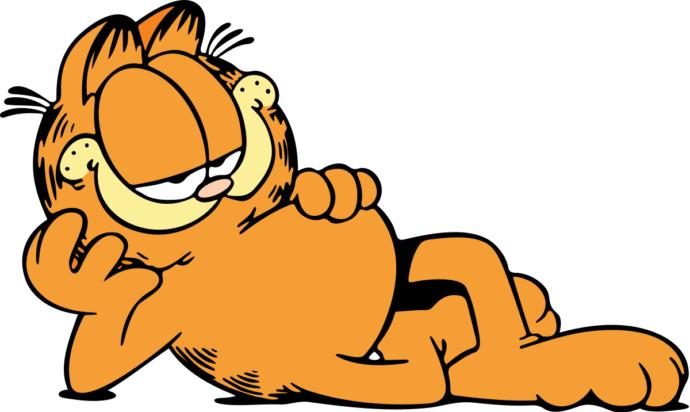 A Q and A about relationships with Garfield