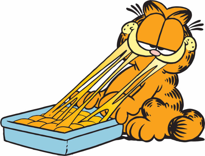 A Q and A about relationships with Garfield