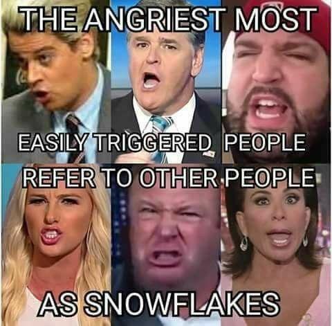 The New World Order. The new culture of parading victims for political gain.