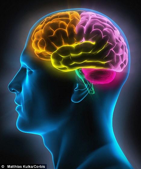 Your mind