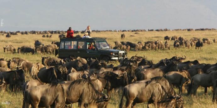 Kenya Safari - Great Location For Anniversary Trip