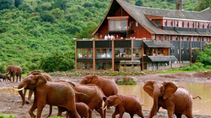 Kenya Safari - Great Location For Anniversary Trip