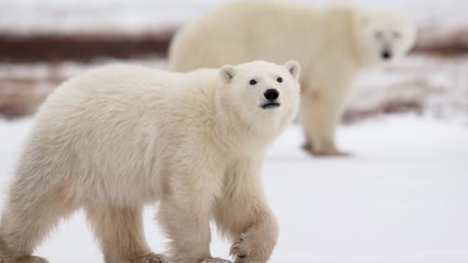 10 Interesting Things About Canada to Share with the World