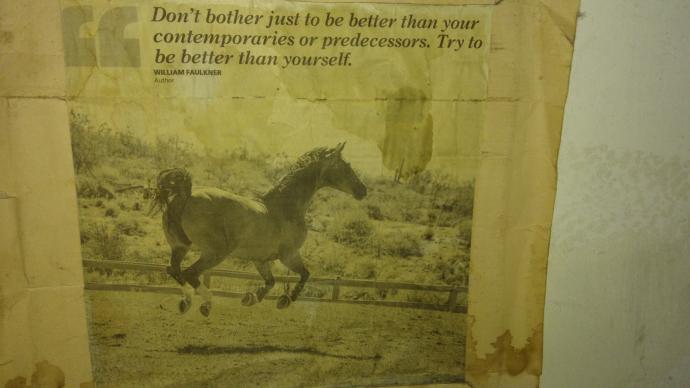 People Will Never Be Satisfied So Just Be Yourself