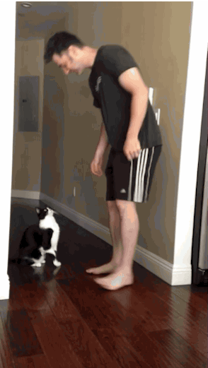 Introduction to G@G Got Talent