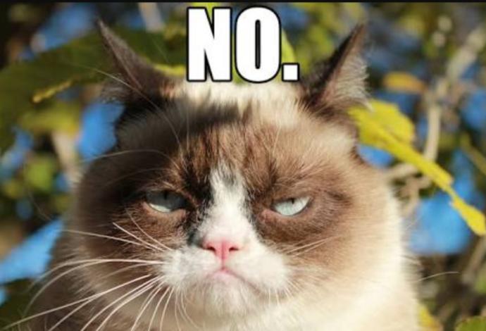 Introduction to G@G Got Talent