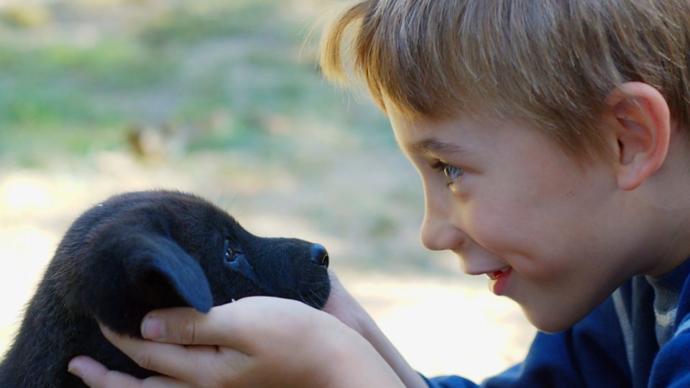 How Do You Know Your Dog Loves You?
