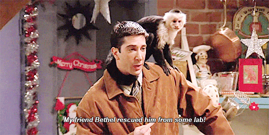 The Cast Of Friends: Then And Now