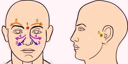 Sinus pressure points: match numbers to the next hint.
