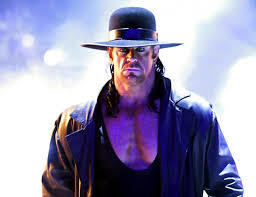 5 Of My Favorite WWE Stars