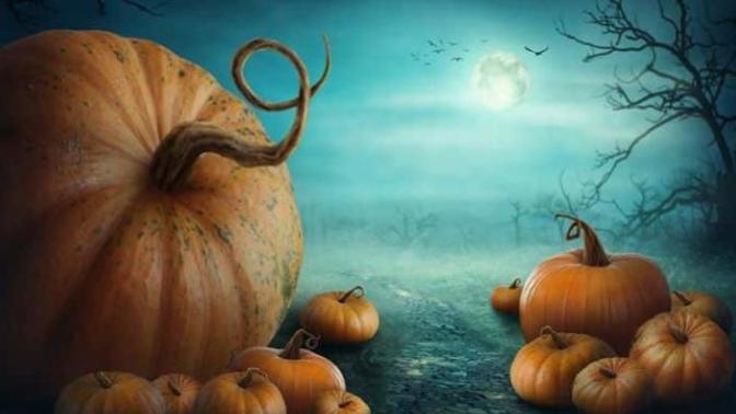 Halloween Treats