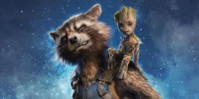 A Q and A about relationships Groot