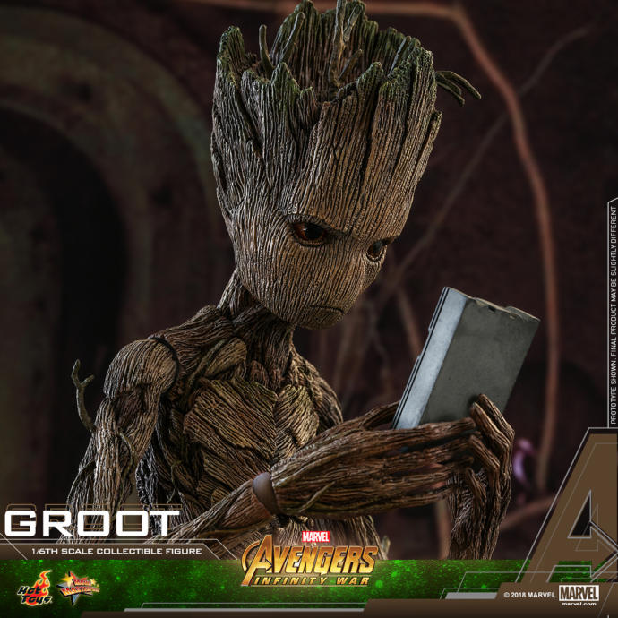 A Q and A about relationships Groot